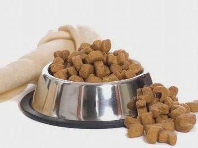 寵物食品配方師研發課程今日開課，深入解析犬貓商品化寵物飼糧