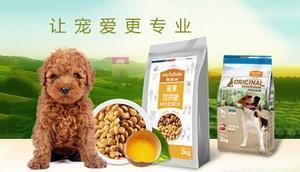 中國十大寵物食品品牌榜中榜 科學喂養，從選對主糧與零食開始